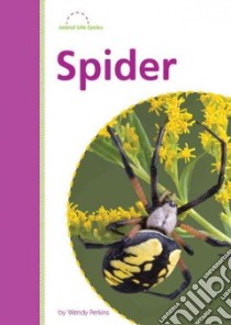 Spider libro in lingua di Perkins Wendy