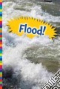 Flood! libro in lingua di Raum Elizabeth
