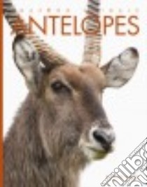 Antelopes libro in lingua di Riggs Kate