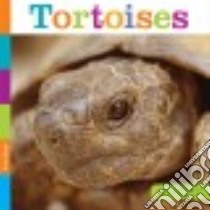 Tortoises libro in lingua di Riggs Kate