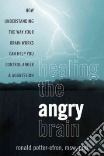 Healing the Angry Brain libro in lingua di Potter-Efron Ronald Ph.D.