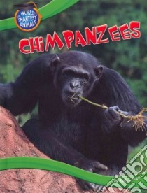 Chimpanzees libro in lingua di Owen Ruth