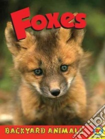 Foxes libro in lingua di Yasuda Anita