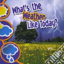 What's the Weather Like Today? libro in lingua di Storad Conrad J.