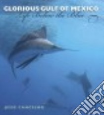 Glorious Gulf of Mexico libro in lingua di Cancelmo Jesse