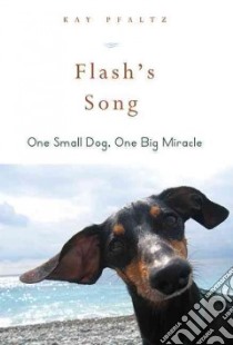 Flash's Song libro in lingua di Pflatz Kay