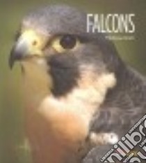 Falcons libro in lingua di Gish Melissa