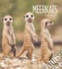 Meerkats libro in lingua di Gish Melissa