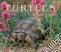 Turtles 2017 Calendar libro in lingua di Firefly Books (COR)