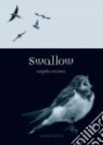 Swallow libro in lingua di Turner Angela