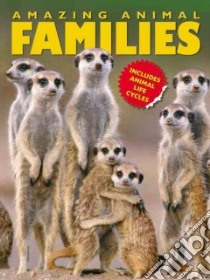 Amazing Animal Families libro in lingua di Owen Ruth (EDT)