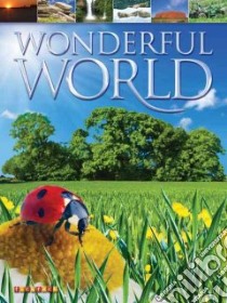 Wonderful World libro in lingua di Bauman Amy, Pipe Jim