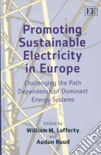 Promoting Sustainable Electricity in Europe libro in lingua di Lafferty William M. (EDT), Ruud Audun (EDT)