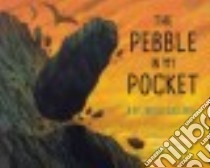 The Pebble in My Pocket libro in lingua di Hooper Meredith, Coady Chris (ILT)