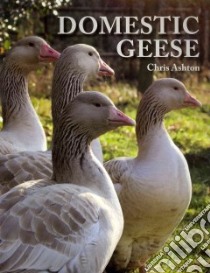 Domestic Geese libro in lingua di Ashton Chris