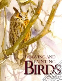 Drawing and Painting Birds libro in lingua di Wootton Tim