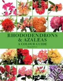 Rhododendrons & Azaleas libro in lingua di Cox Kenneth