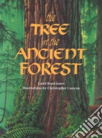 The Tree in the Ancient Forest libro in lingua di Reed-Jones Carol, Canyon Christopher (ILT)