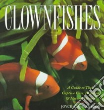 Clownfishes libro in lingua di Wilkerson Joyce D.