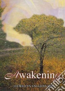 Awakening (CD Audiobook) libro in lingua di Vaughan-Lee Llewellyn