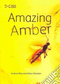 Amazing Amber libro in lingua di Ross Andrew, Sheridan Alison, McLean Neil (PHT), Crighton Bill (PHT)