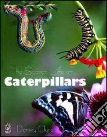 The Secret Life of Caterpillars libro in lingua di Clyne Densey