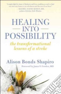 Healing into Possibility libro in lingua di Shapiro Alison Bonds, Gordon James S. (FRW)