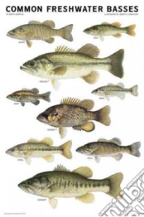 Common Freshwater Basses of North America libro in lingua di Tomelleri Joseph R. (ILT)