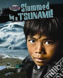 Slammed by a Tsunami! libro in lingua di Aronin Miriam