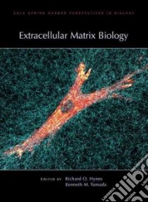 Extracellular Matrix Biology libro in lingua di Hynes Richard O. (EDT), Yamada Kenneth M. (EDT)