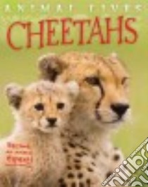 Cheetahs libro in lingua di Morgan Sally