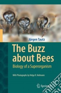 The Buzz About Bees libro in lingua di Tautz Jurgen, Heilmann Helga R. (PHT), Sandeman David C. (TRN)
