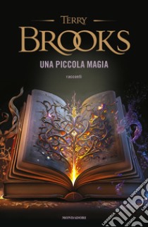 Una piccola magia libro di Brooks Terry