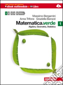 Matematica.verde. Algebra. Geometria. Statistica. Per le Scuole superiori. Con espansione online. Vol. 1 libro di Bergamini Massimo, Trifone Anna, Barozzi Graziella