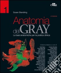 Anatomia del Gray. Le basi anatomiche per la pratica clinica. Vol. 1-2 libro di Standring Susan
