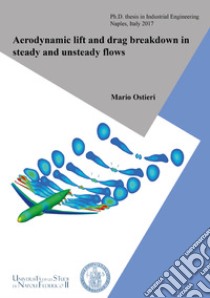 Aerodynamic lift and drag breakdown in steady and unsteady flows libro di Ostieri Mario