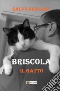 Briscola il gatto libro di Nicolosi Salvo; Messina P. (cur.)