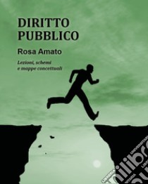 Diritto pubblico libro di Amato Rosa