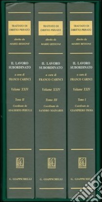 Trattato di diritto privato. Vol. 24: Il lavoro subordinato libro di Carinci F. (cur.)