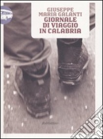 Giornale di viaggio in Calabria libro di Galanti Giuseppe Maria; Addante L. (cur.)