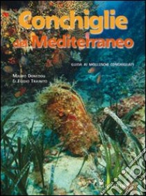 Conchiglie del Mediterraneo. Ediz. illustrata libro di Trainito Egidio; Doneddu Mauro