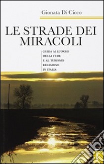 Le strade dei miracoli. Guida ai luoghi della fede e al turismo in Italia libro di Di Cicco Gionata