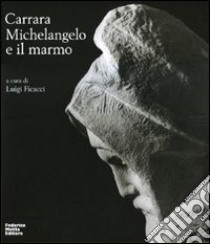 Carrara. Michelangelo e il marmo. Ediz. illustrata libro di Ficacci L. (cur.)