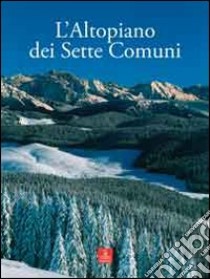 L'Altopiano dei Sette Comuni libro di Rigoni P. (cur.); Varotto M. (cur.)