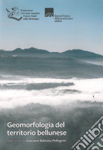 Geomorfologia del territorio bellunese. Negli scritti di Giovanni Battista Pellegrini libro di Pellegrini Giovanni Battista