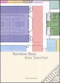 Rainbow boys libro di Sanchez Alex