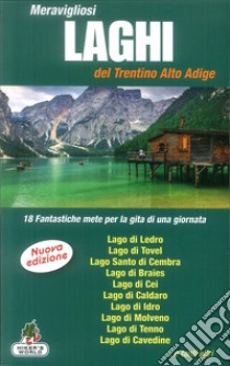 Meravigliosi laghi del Trentino Alto Adige libro