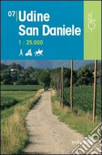 Udine San Daniele 1:25.000 libro di Pozzati D. (cur.); Vertovec M. (cur.)