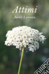 Attimi libro di Aureli Lorenzo