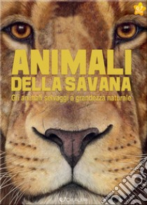 Animali della savana. Gli animali selvaggi a grandezza naturale. Ediz. a colori libro di Haag Holger